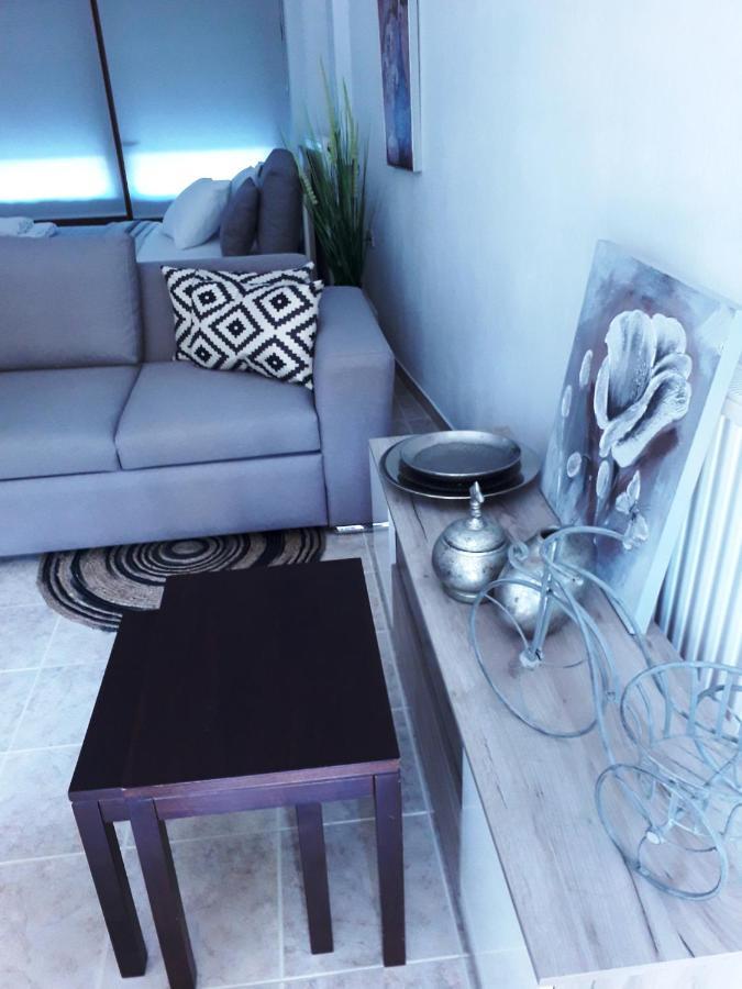 Blue Studio Olympus Mels Apartments Літохоро Екстер'єр фото