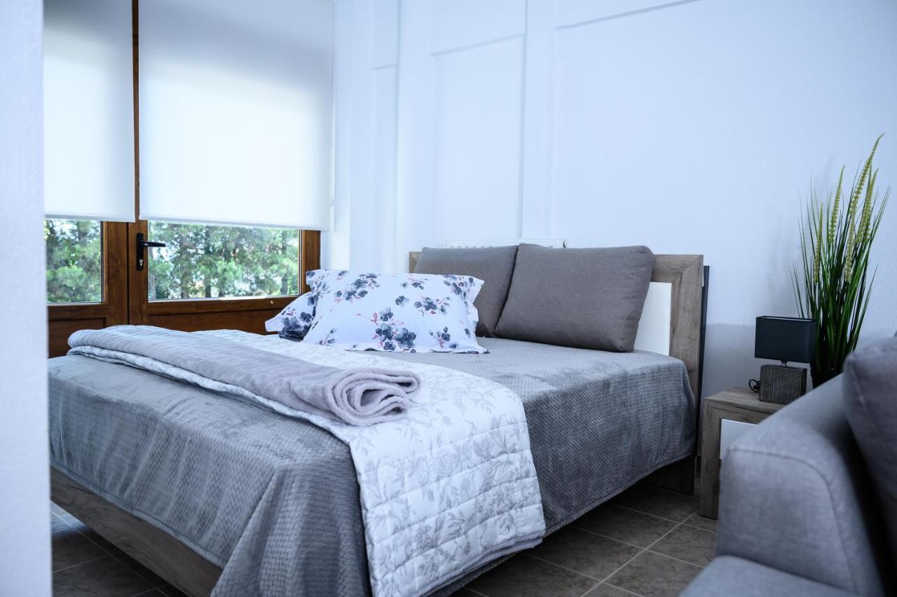 Blue Studio Olympus Mels Apartments Літохоро Екстер'єр фото